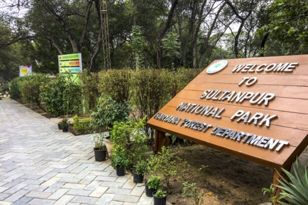sultanpur national park