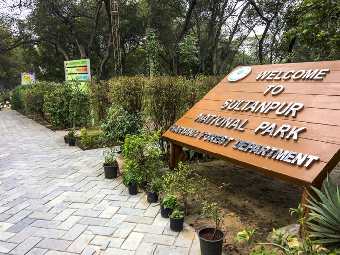 sultanpur national park