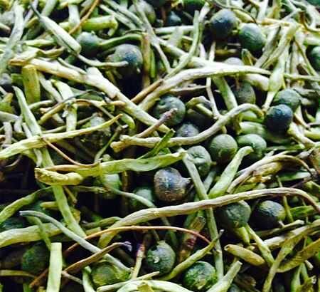 Singri ki Sabzi